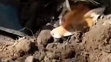 愿世间充满良善