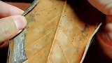 中国非遗，玉兰叶经脱胎洗礼，翻面的那一刻太惊艳了