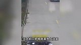 狗没拴绳冲上马路，撞倒老人致伤残，法院：狗主人全责，赔49万