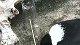 方法总比困难多，乌鸦想吃到东西，杠杆原理都用上了！