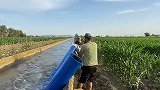 民间高手给地浇水，这也太秀了
