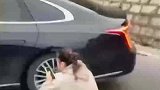 这波质量你觉得谁赢了？