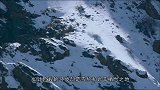 “雪上之王”被岩羊引上绝路，走投无路，从百米高的悬崖摔下去