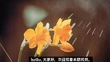 关晓彤鹿晗同居照曝光！穿睡衣亲密合影，身后酒瓶太抢镜