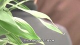 2018社保卡新骗局，只用一分钟你的巨款就能被骗走！一定要谨慎