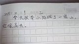 小学生日记就是不一样，当老师的我都不知说啥了，这是什么学生啊