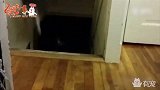 碰到这么坑猫的主人，喵子的内心是拒绝的