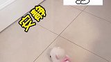 这空调蹭的还挺有礼貌