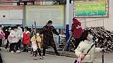 农村学校的快乐，不只有作业还有甘蔗