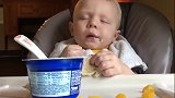 萌娃吃东西，前一秒还在吧唧吃正香，后一秒瞬间入睡了