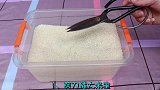 剪刀插大米里，原来这么厉害，我也刚知道，快试试