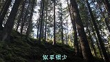 地球上有哪些物种的寿命，能够超过两百年？