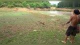 美女到沼泽地理玩耍，发现地下有动静，徒手就挖了条大鱼出来