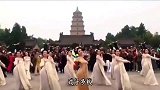 古风版歌曲《辞九门回忆》一曲定重楼，一眼半生筹