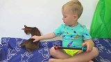 猫咪不见了，萌娃赶紧叫妹妹帮忙寻找，两个小家伙好可爱，萌萌哒
