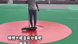 司机是不带脑子上班吗