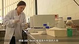 零重力抗癌？科学家正在排队把癌细胞送上天，人类似乎早晚要乔迁