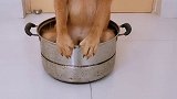 袜子的伴侣是谁  我不知道