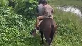 户外骑马，农村生活