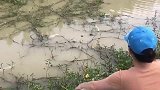 塑料瓶钓鱼？你有见过吗？