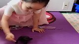 5岁女儿养的小乌龟，真是太听话了，眼前一幕，小情人好萌啊！