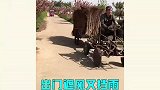 改装大神很内卷，各种奇葩杰作太亮眼