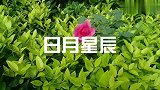 从来靠不到男人的五个女人