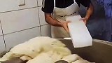 用冰块给面降温，这方法靠谱