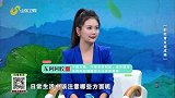 慢性胃炎的饮食调理