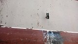 400找来焊工焊接管道，焊到一半人就露馅了，咋办