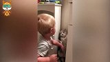 萌娃将小猫逼到墙角想跟它互动，下一秒小猫的反应，看完不许笑！