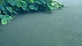 独撑一伞，邂逅一场江南烟雨……