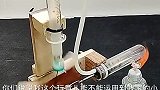 这个小乌龟变异了吗