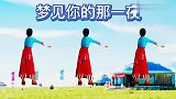 藏族舞《梦见你的那一夜》应子老师的舞唯美好看 背面演示带你跳