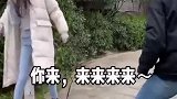 终于找到机会出口气了，看你怎么着