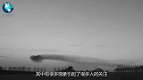 广场上漂浮着“银色物体”，引路人上前围观，这究竟是什么？