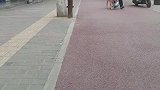 继续拉出来秀，路人只有羡慕嫉妒恨