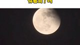 昨天的超级月亮，你看到了吗？