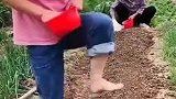 无限搞笑公司真会玩会点活搞笑配音