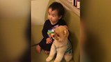 狗狗好听话啊,被小主人一直抱在怀里,还一动不动的!