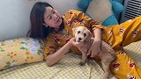 小猴和狗狗一起玩耍，小猴努伊把狗狗当成自己的宠物了！