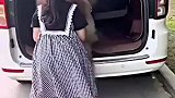 今天中午吃完饭出去溜一下狗
