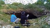 蝙蝠携带那么多种病毒，为何蝙蝠自己没事？长知识了