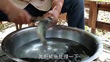 鲫鱼这么做好吃到没朋友，一锅炖10条，老伴抱着直接啃！