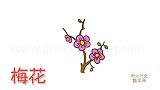 植物简笔画大全，画梅花简笔画