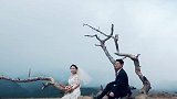 树可枯，爱不停。