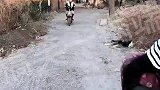 新手上路，错把油门当刹车
