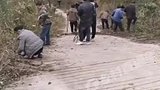 第一批回村的年轻人们已经开始打扫村道，干干净净欢欢喜喜过大年