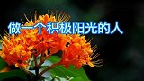 用加法的方式去爱人，用减法的方式去怨恨，用乘法 方式去感恩