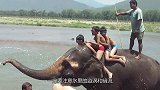 两只鹅路过湖面上的旋涡，距离仅仅几厘米，意外出现了
